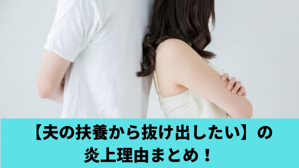 【夫の扶養から抜け出したい】炎上理由4つ！主人公ももこと旦那のモラハラがうざい？