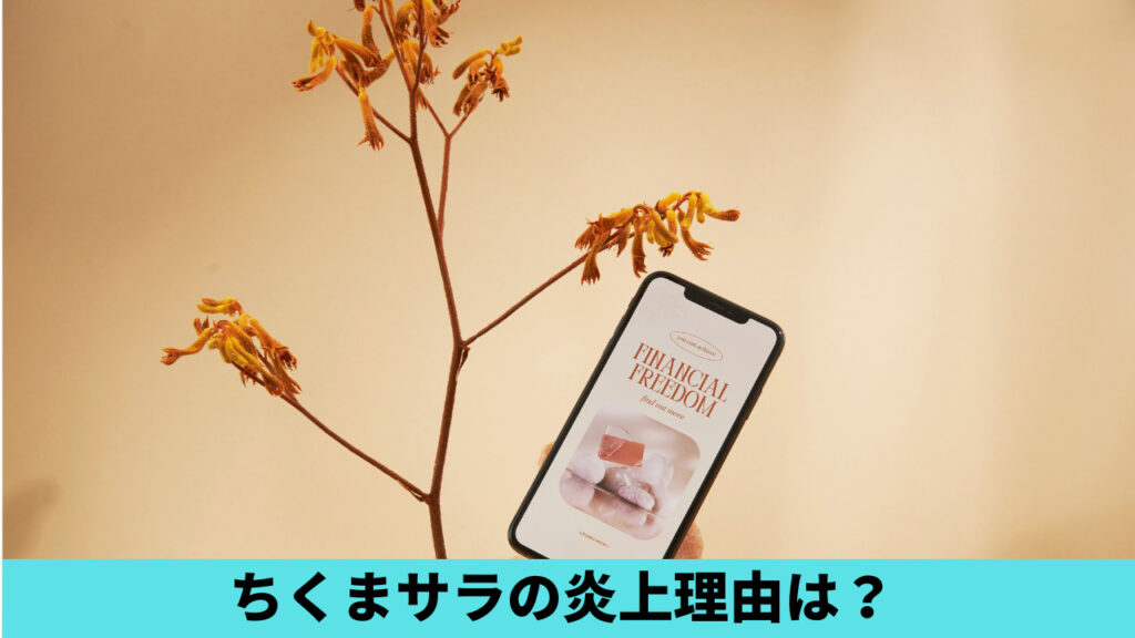 ちくまサラの炎上理由7つ！娘は不細工で自分＆息子は美人？独身エピも