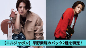 【エルジャポン】平野紫耀のルイヴィトンの2種バッグを特定！価格も調査！