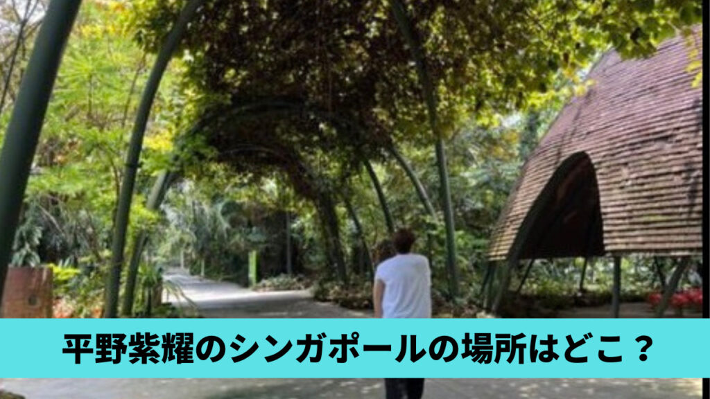 【特定】平野紫耀のシンガポールの場所はどこ？ストーリー画像は植物公園！