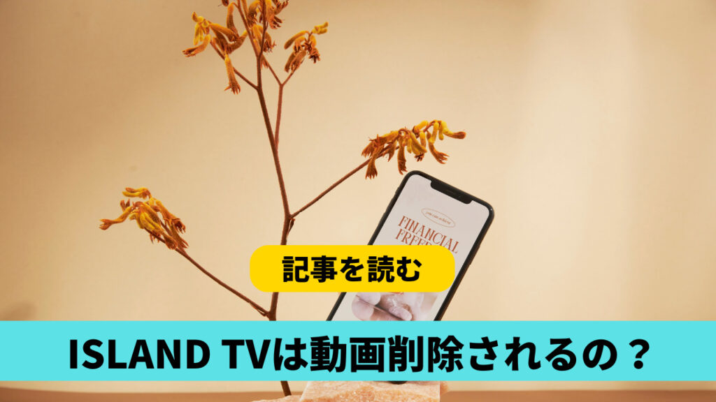 ISLAND TVの動画は削除される？Videoで引継ぎはある？保存方法は？