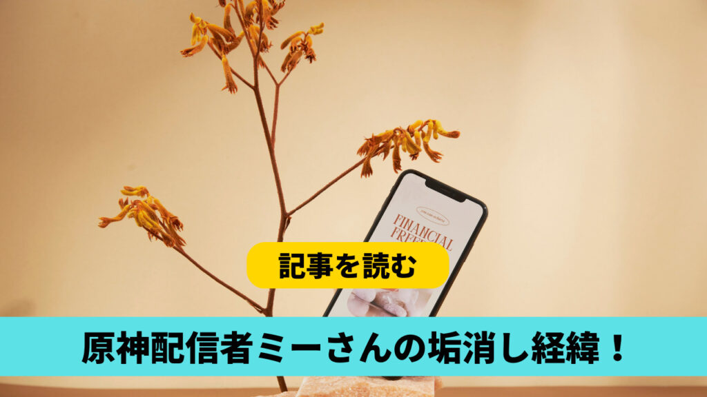 原神配信者ミーさんが垢消しした経緯は？そーめんの批判動画が関係？