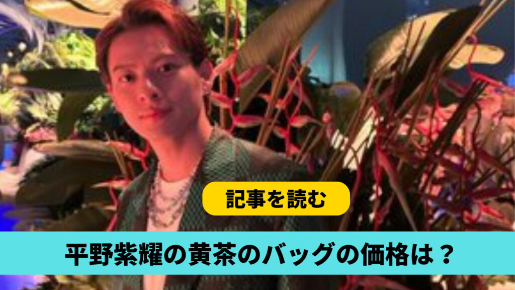 平野紫耀の黄と茶のルイヴィトンのバッグの価格は？約50万円！スーツも調査